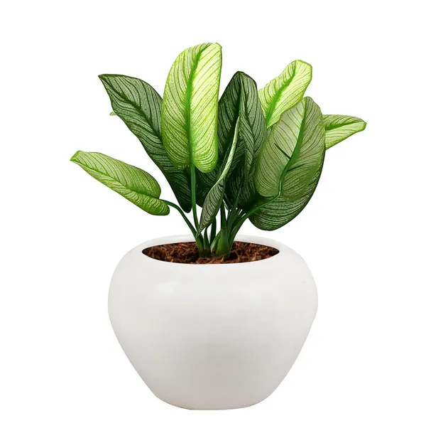 Cloud_Apple_Medium_White_Ceramic_Pots_For_Indoor_Plants,_Planters,_Flower,_Pots,_Gamla,Outdoor,Balcony,Home,Round,Garden,_Office_Decor,Succulent(H_-_9.5_X_D_-_14_Cm)