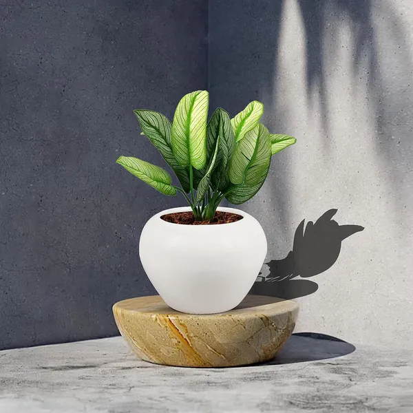 Cloud_Apple_Medium_White_Ceramic_Pots_For_Indoor_Plants,_Planters,_Flower,_Pots,_Gamla,Outdoor,Balcony,Home,Round,Garden,_Office_Decor,Succulent(H_-_9.5_X_D_-_14_Cm)