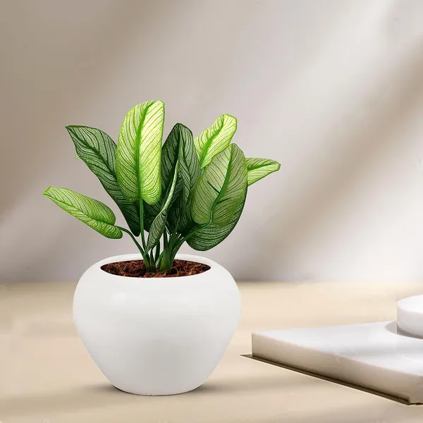 Cloud_Apple_Small_White_Ceramic_Pots_For_Indoor_Plants,_Planters,_Flower,_Pots,_Gamla,Outdoor,Balcony,Home,Round,Garden,_Office_Decor,Succulent(H_-_10_X_D_-_10_Cm)