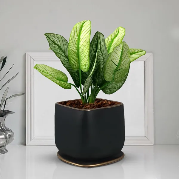 Pearl_Medium_Black_Gold_With_Plate_Ceramic_Pots_For_Indoor_Plants,Planters,Flower,Gamla,Outdoor,Balcony,Home,Garden,Office_Decor,Succulent(L-15_X_W-15_X_H-13.5_Cm)