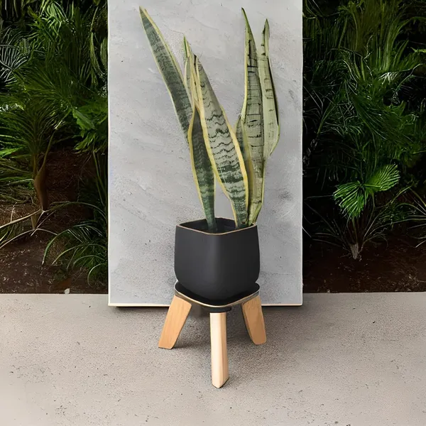 Pearl_Medium_Black_Gold_With_Plate_Ceramic_Pots_For_Indoor_Plants,Planters,Flower,Gamla,Outdoor,Balcony,Home,Garden,Office_Decor,Succulent(L-15_X_W-15_X_H-13.5_Cm)