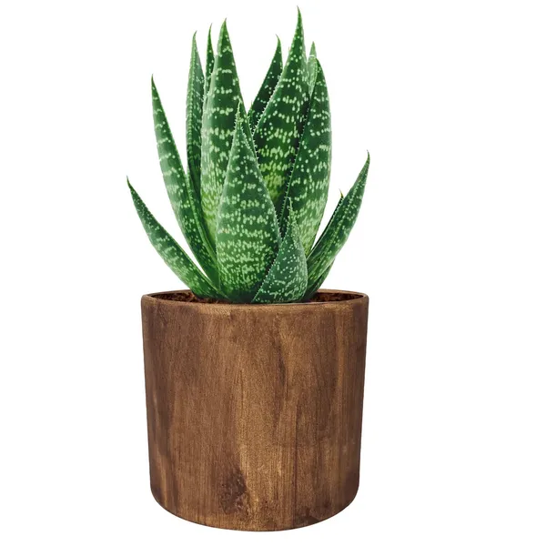 Sara_5_Inch_Antique_Ceramic_Pots_For_Indoor_Plants,_Planters,_Flower,_Pots,_Gamla,Outdoor,Balcony,Home,Round,Garden,_Office_Decor,Succulent(H_-_13_X_D_-_14_Cm)