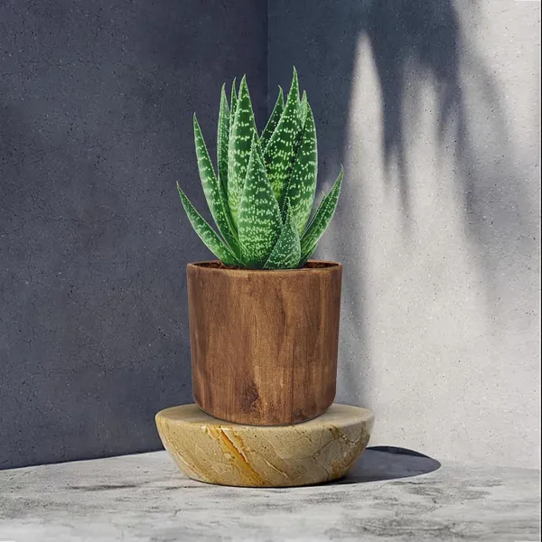 Sara_5_Inch_Antique_Ceramic_Pots_For_Indoor_Plants,_Planters,_Flower,_Pots,_Gamla,Outdoor,Balcony,Home,Round,Garden,_Office_Decor,Succulent(H_-_13_X_D_-_14_Cm)
