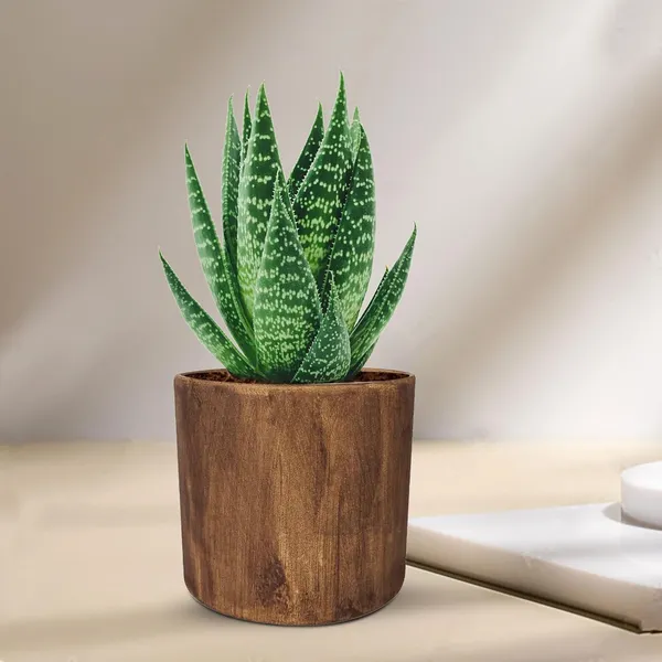 Sara_5_Inch_Antique_Ceramic_Pots_For_Indoor_Plants,_Planters,_Flower,_Pots,_Gamla,Outdoor,Balcony,Home,Round,Garden,_Office_Decor,Succulent(H_-_13_X_D_-_14_Cm)