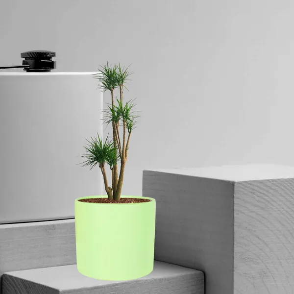 Sara_5_Inch_Mint_Ceramic_Pots_For_Indoor_Plants,_Planters,_Flower,_Pots,_Gamla,Outdoor,Balcony,Home,Round,Garden,_Office_Decor,Succulent(H_-_13_X_D_-_14_Cm)