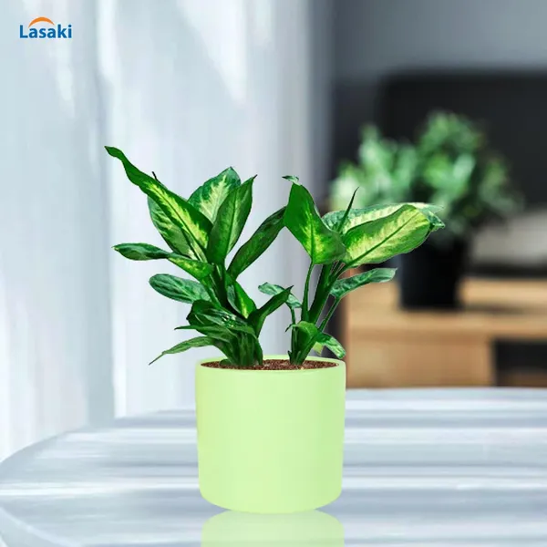 Sara_5_Inch_Mint_Ceramic_Pots_For_Indoor_Plants,_Planters,_Flower,_Pots,_Gamla,Outdoor,Balcony,Home,Round,Garden,_Office_Decor,Succulent(H_-_13_X_D_-_14_Cm)