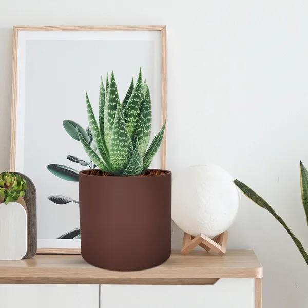 Sara_5_Inch_Truffle_Ceramic_Pots_For_Indoor_Plants,_Planters,_Flower,_Pots,_Gamla,Outdoor,Balcony,Home,Round,Garden,_Office_Decor,Succulent(H_-_13_X_D_-_14_Cm)