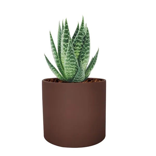 Sara_5_Inch_Truffle_Ceramic_Pots_For_Indoor_Plants,_Planters,_Flower,_Pots,_Gamla,Outdoor,Balcony,Home,Round,Garden,_Office_Decor,Succulent(H_-_13_X_D_-_14_Cm)