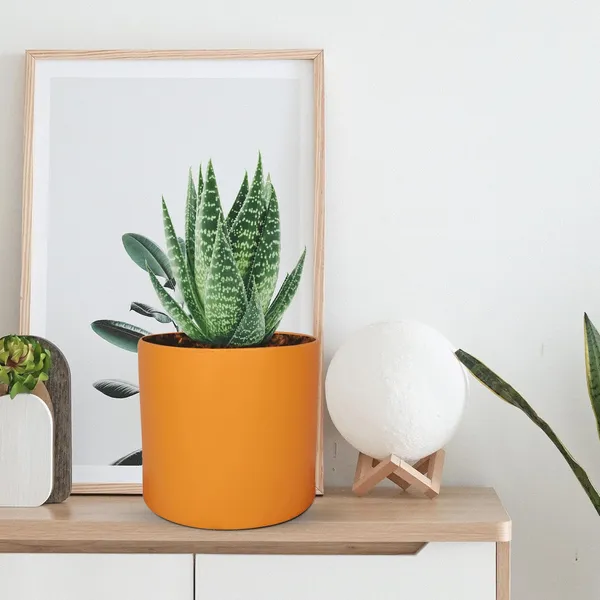 Sara_5_Inch_Lily_Ceramic_Pots_For_Indoor_Plants,_Planters,_Flower,_Pots,_Gamla,Outdoor,Balcony,Home,Round,Garden,_Office_Decor,Succulent(H_-_13_X_D_-_14_Cm)