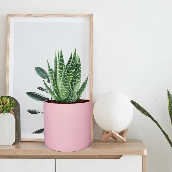 Sara_5_Inch_Pink_Ceramic_Pots_For_Indoor_Plants,_Planters,_Flower,_Pots,_Gamla,Outdoor,Balcony,Home,Round,Garden,_Office_Decor,Succulent(H_-_13_X_D_-_14_Cm)