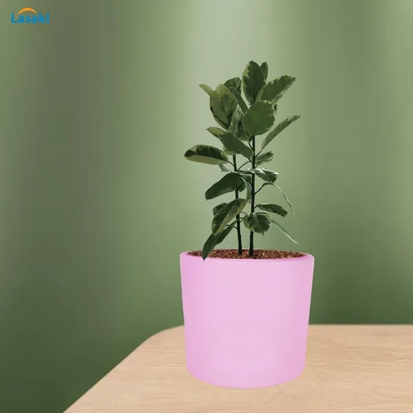 Sara_5_Inch_Purple_Ceramic_Pots_For_Indoor_Plants,_Planters,_Flower,_Pots,_Gamla,Outdoor,Balcony,Home,Round,Garden,_Office_Decor,Succulent(H_-_13_X_D_-_14_Cm)