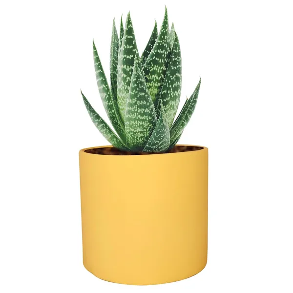 Sara_5_Inch_Saffron_Ceramic_Pots_For_Indoor_Plants,_Planters,_Flower,_Pots,_Gamla,Outdoor,Balcony,Home,Round,Garden,_Office_Decor,Succulent(H_-_13_X_D_-_14_Cm)