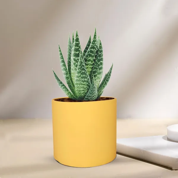 Sara_5_Inch_Saffron_Ceramic_Pots_For_Indoor_Plants,_Planters,_Flower,_Pots,_Gamla,Outdoor,Balcony,Home,Round,Garden,_Office_Decor,Succulent(H_-_13_X_D_-_14_Cm)