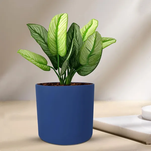 Sara_5_Inch_Blue_Ceramic_Pots_For_Indoor_Plants,_Planters,_Flower,_Pots,_Gamla,Outdoor,Balcony,Home,Round,Garden,_Office_Decor,Succulent(H_-_13_X_D_-_14_Cm)