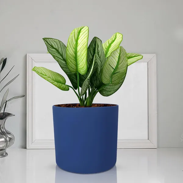 Sara_5_Inch_Blue_Ceramic_Pots_For_Indoor_Plants,_Planters,_Flower,_Pots,_Gamla,Outdoor,Balcony,Home,Round,Garden,_Office_Decor,Succulent(H_-_13_X_D_-_14_Cm)