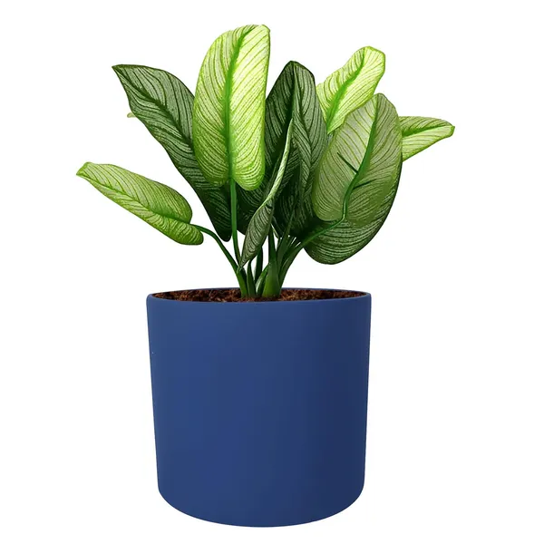 Sara_5_Inch_Blue_Ceramic_Pots_For_Indoor_Plants,_Planters,_Flower,_Pots,_Gamla,Outdoor,Balcony,Home,Round,Garden,_Office_Decor,Succulent(H_-_13_X_D_-_14_Cm)