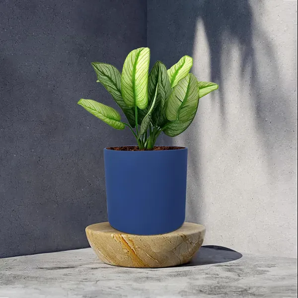 Sara_5_Inch_Blue_Ceramic_Pots_For_Indoor_Plants,_Planters,_Flower,_Pots,_Gamla,Outdoor,Balcony,Home,Round,Garden,_Office_Decor,Succulent(H_-_13_X_D_-_14_Cm)