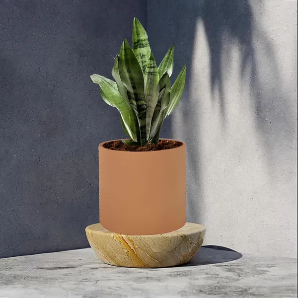 Sara_5_Inch_Ginger_Ceramic_Pots_For_Indoor_Plants,_Planters,_Flower,_Pots,_Gamla,Outdoor,Balcony,Home,Round,Garden,_Office_Decor,Succulent(H_-_13_X_D_-_14_Cm)
