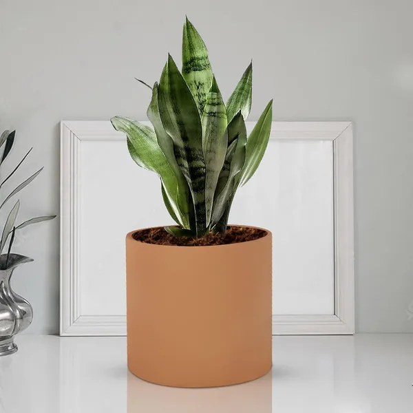 Sara_5_Inch_Ginger_Ceramic_Pots_For_Indoor_Plants,_Planters,_Flower,_Pots,_Gamla,Outdoor,Balcony,Home,Round,Garden,_Office_Decor,Succulent(H_-_13_X_D_-_14_Cm)