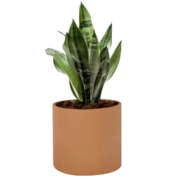 Sara_5_Inch_Ginger_Ceramic_Pots_For_Indoor_Plants,_Planters,_Flower,_Pots,_Gamla,Outdoor,Balcony,Home,Round,Garden,_Office_Decor,Succulent(H_-_13_X_D_-_14_Cm)