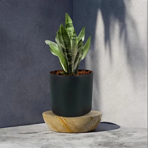 Sara_5_Inch_Black_Ceramic_Pots_For_Indoor_Plants,_Planters,_Flower,_Pots,_Gamla,Outdoor,Balcony,Home,Round,Garden,_Office_Decor,Succulent(H_-_13_X_D_-_14_Cm)