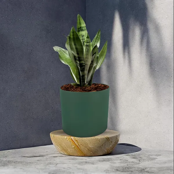 Sara_5_Inch_Deep_Jungle_Ceramic_Pots_For_Indoor_Plants,_Planters,_Flower,_Pots,_Gamla,Outdoor,Balcony,Home,Round,Garden,_Office_Decor,Succulent(H_-_13_X_D_-_14_Cm)