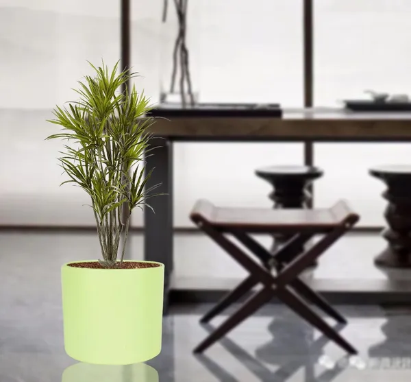 Sara_4_Inch_Mint_Ceramic_Pots_For_Indoor_Plants,_Planters,_Flower,_Pots,_Gamla,Outdoor,Balcony,Home,Round,Garden,_Office_Decor,Succulent(H_-_10.5_X_D_-_12_Cm)