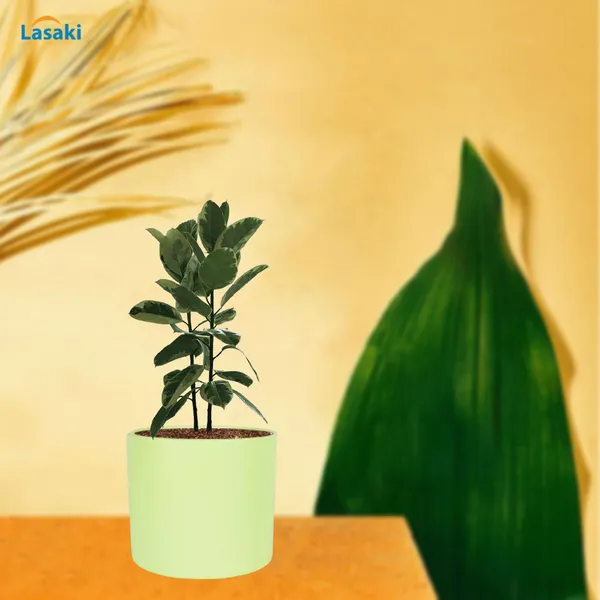 Sara_4_Inch_Mint_Ceramic_Pots_For_Indoor_Plants,_Planters,_Flower,_Pots,_Gamla,Outdoor,Balcony,Home,Round,Garden,_Office_Decor,Succulent(H_-_10.5_X_D_-_12_Cm)