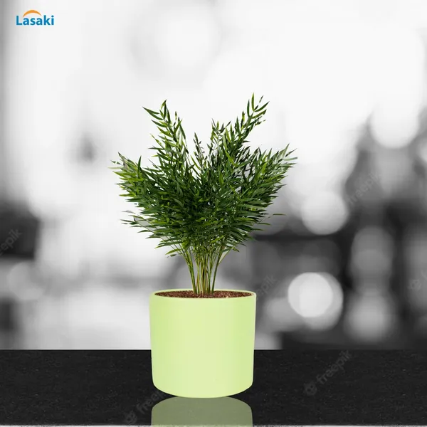 Sara_4_Inch_Mint_Ceramic_Pots_For_Indoor_Plants,_Planters,_Flower,_Pots,_Gamla,Outdoor,Balcony,Home,Round,Garden,_Office_Decor,Succulent(H_-_10.5_X_D_-_12_Cm)
