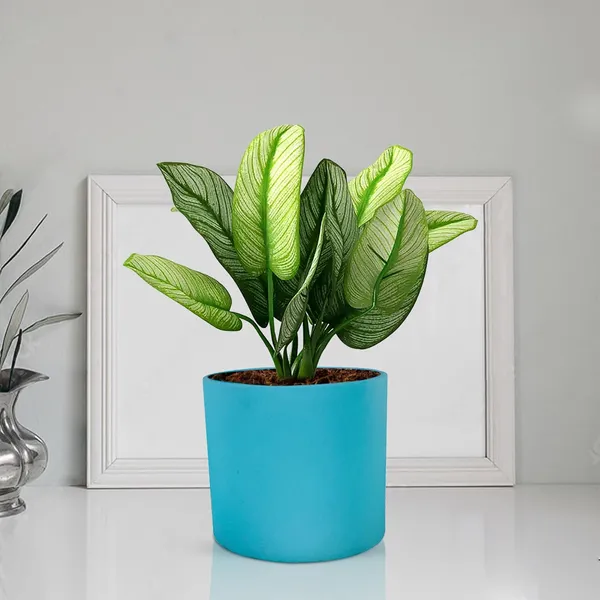 Sara_4_Inch_Aqua_Ceramic_Pots_For_Indoor_Plants,_Planters,_Flower,_Pots,_Gamla,Outdoor,Balcony,Home,Round,Garden,_Office_Decor,Succulent(H_-_10.5_X_D_-_12_Cm)