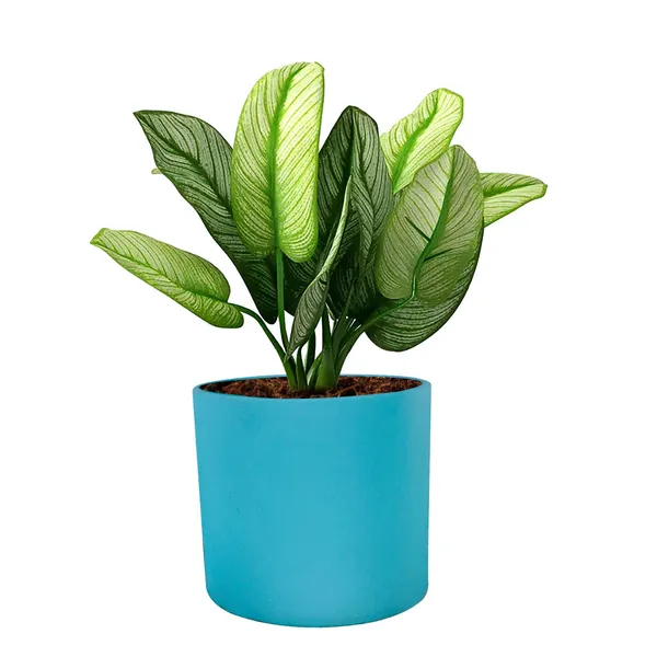 Sara_4_Inch_Aqua_Ceramic_Pots_For_Indoor_Plants,_Planters,_Flower,_Pots,_Gamla,Outdoor,Balcony,Home,Round,Garden,_Office_Decor,Succulent(H_-_10.5_X_D_-_12_Cm)