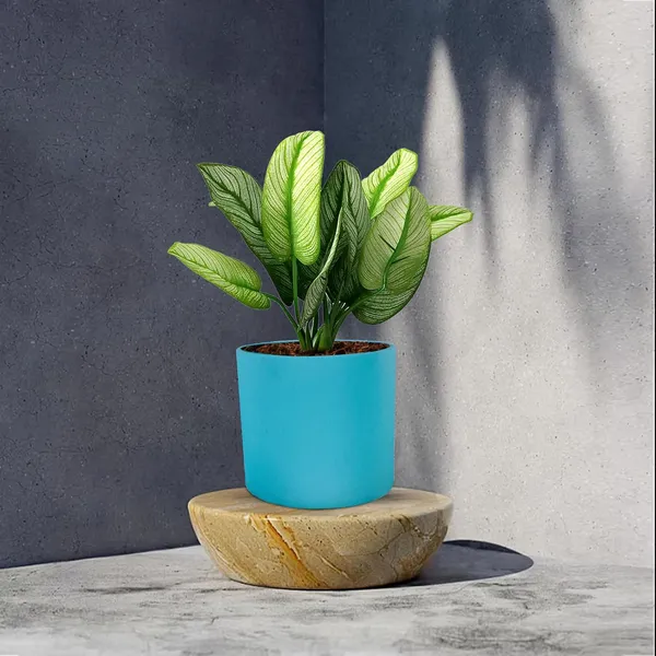 Sara_4_Inch_Aqua_Ceramic_Pots_For_Indoor_Plants,_Planters,_Flower,_Pots,_Gamla,Outdoor,Balcony,Home,Round,Garden,_Office_Decor,Succulent(H_-_10.5_X_D_-_12_Cm)
