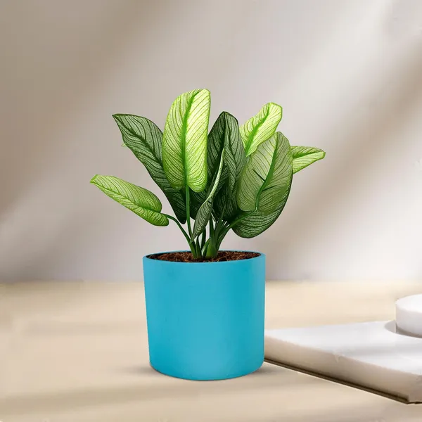 Sara_4_Inch_Aqua_Ceramic_Pots_For_Indoor_Plants,_Planters,_Flower,_Pots,_Gamla,Outdoor,Balcony,Home,Round,Garden,_Office_Decor,Succulent(H_-_10.5_X_D_-_12_Cm)
