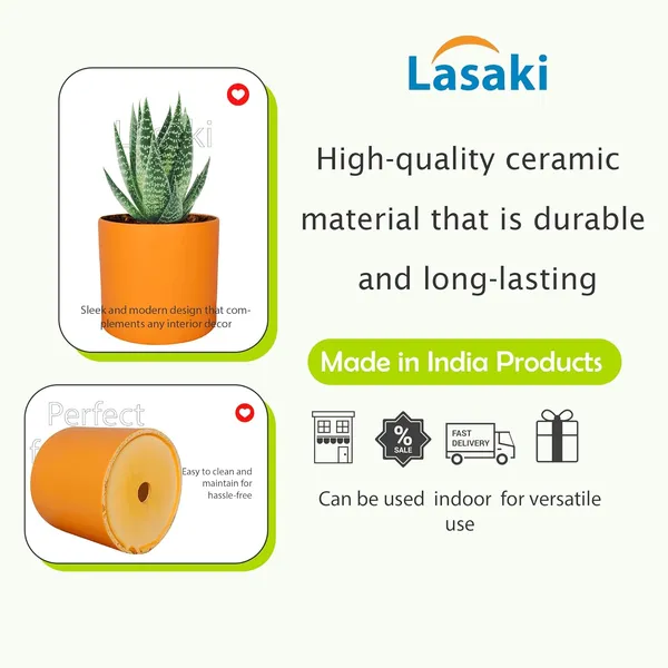 Sara_4_Inch_Lily_Ceramic_Pots_For_Indoor_Plants,_Planters,_Flower,_Pots,_Gamla,Outdoor,Balcony,Home,Round,Garden,_Office_Decor,Succulent(H_-_10.5_X_D_-_12_Cm)