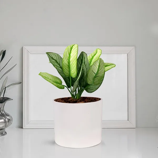 Sara_4_Inch_White_Ceramic_Pots_For_Indoor_Plants,_Planters,_Flower,_Pots,_Gamla,Outdoor,Balcony,Home,Round,Garden,_Office_Decor,Succulent(H_-_10.5_X_D_-_12_Cm)