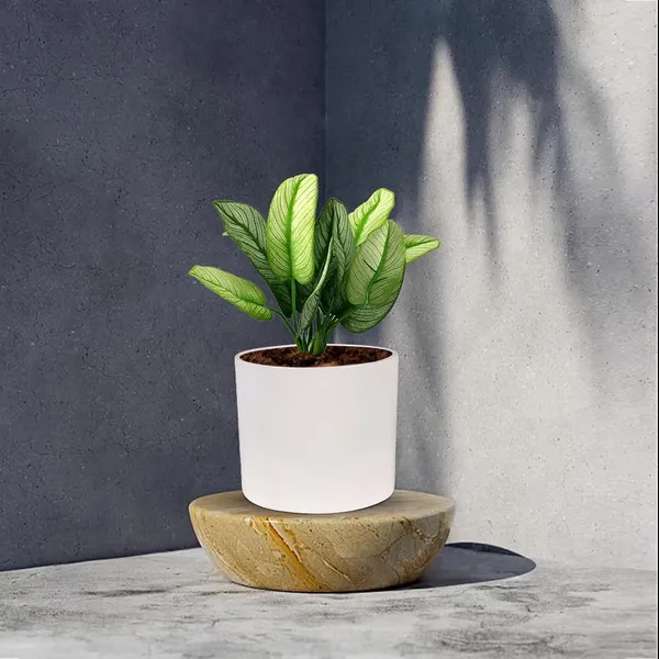 Sara_4_Inch_White_Ceramic_Pots_For_Indoor_Plants,_Planters,_Flower,_Pots,_Gamla,Outdoor,Balcony,Home,Round,Garden,_Office_Decor,Succulent(H_-_10.5_X_D_-_12_Cm)