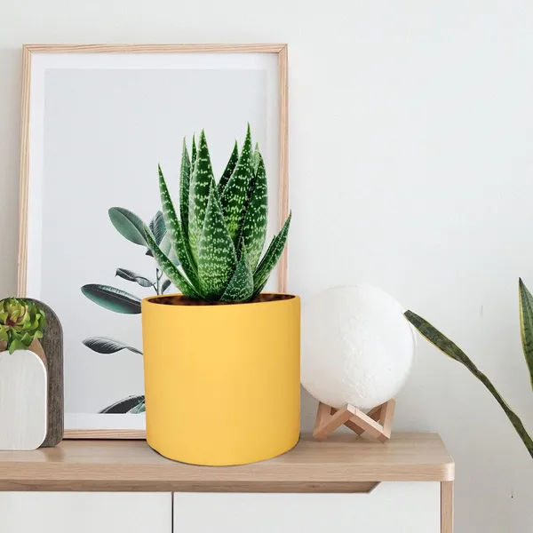 Sara_4_Inch_Saffron_Ceramic_Pots_For_Indoor_Plants,_Planters,_Flower,_Pots,_Gamla,Outdoor,Balcony,Home,Round,Garden,_Office_Decor,Succulent(H_-_10.5_X_D_-_12_Cm)