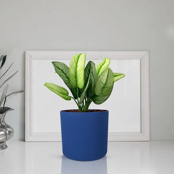 Sara_4_Inch_Blue_Ceramic_Pots_For_Indoor_Plants,_Planters,_Flower,_Pots,_Gamla,Outdoor,Balcony,Home,Round,Garden,_Office_Decor,Succulent(H_-_10.5_X_D_-_12_Cm)
