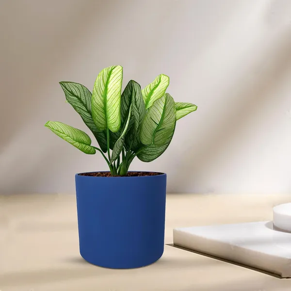 Sara_4_Inch_Blue_Ceramic_Pots_For_Indoor_Plants,_Planters,_Flower,_Pots,_Gamla,Outdoor,Balcony,Home,Round,Garden,_Office_Decor,Succulent(H_-_10.5_X_D_-_12_Cm)