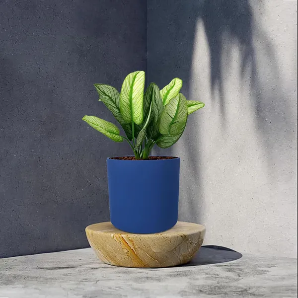 Sara_4_Inch_Blue_Ceramic_Pots_For_Indoor_Plants,_Planters,_Flower,_Pots,_Gamla,Outdoor,Balcony,Home,Round,Garden,_Office_Decor,Succulent(H_-_10.5_X_D_-_12_Cm)