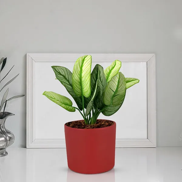 Sara_4_Inch_Red_Ceramic_Pots_For_Indoor_Plants,_Planters,_Flower,_Pots,_Gamla,Outdoor,Balcony,Home,Round,Garden,_Office_Decor,Succulent(H_-_10.5_X_D_-_12_Cm)
