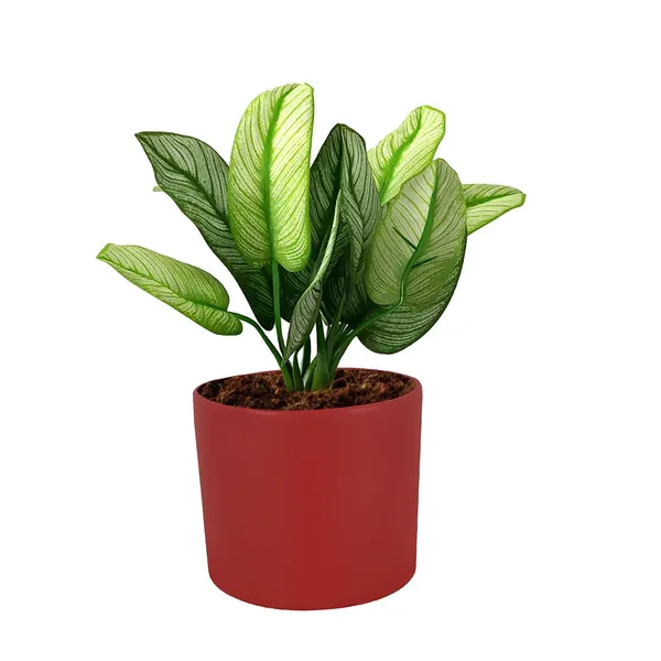 Sara_4_Inch_Red_Ceramic_Pots_For_Indoor_Plants,_Planters,_Flower,_Pots,_Gamla,Outdoor,Balcony,Home,Round,Garden,_Office_Decor,Succulent(H_-_10.5_X_D_-_12_Cm)