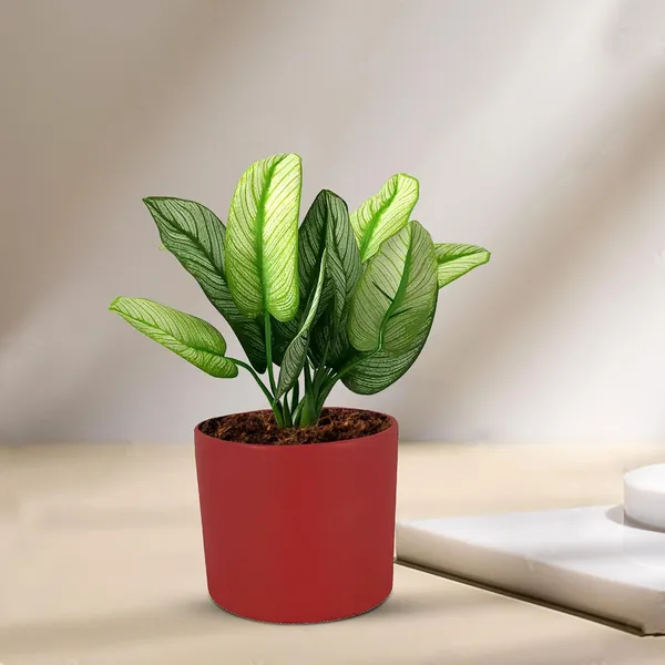 Sara_4_Inch_Red_Ceramic_Pots_For_Indoor_Plants,_Planters,_Flower,_Pots,_Gamla,Outdoor,Balcony,Home,Round,Garden,_Office_Decor,Succulent(H_-_10.5_X_D_-_12_Cm)
