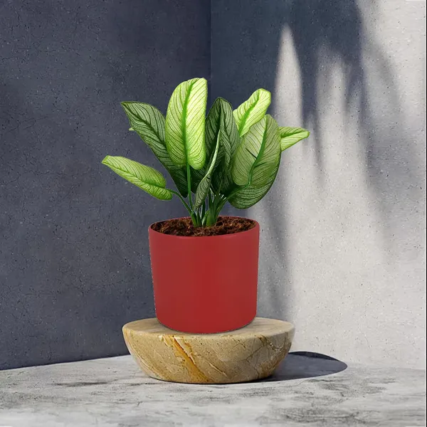 Sara_4_Inch_Red_Ceramic_Pots_For_Indoor_Plants,_Planters,_Flower,_Pots,_Gamla,Outdoor,Balcony,Home,Round,Garden,_Office_Decor,Succulent(H_-_10.5_X_D_-_12_Cm)