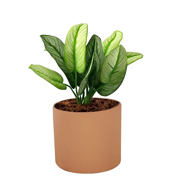 Sara_4_Inch_Ginger_Ceramic_Pots_For_Indoor_Plants,_Planters,_Flower,_Pots,_Gamla,Outdoor,Balcony,Home,Round,Garden,_Office_Decor,Succulent(H_-_10.5_X_D_-_12_Cm)