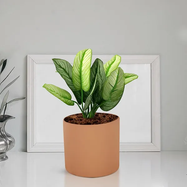 Sara_4_Inch_Ginger_Ceramic_Pots_For_Indoor_Plants,_Planters,_Flower,_Pots,_Gamla,Outdoor,Balcony,Home,Round,Garden,_Office_Decor,Succulent(H_-_10.5_X_D_-_12_Cm)