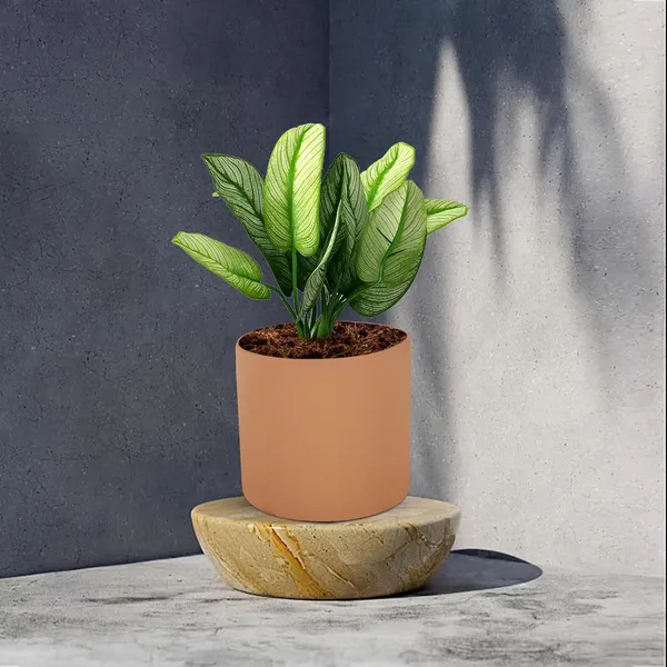 Sara_4_Inch_Ginger_Ceramic_Pots_For_Indoor_Plants,_Planters,_Flower,_Pots,_Gamla,Outdoor,Balcony,Home,Round,Garden,_Office_Decor,Succulent(H_-_10.5_X_D_-_12_Cm)