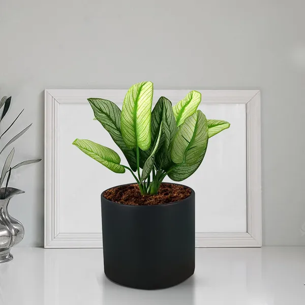Sara_4_Inch_Black_Ceramic_Pots_For_Indoor_Plants,_Planters,_Flower,_Pots,_Gamla,Outdoor,Balcony,Home,Round,Garden,_Office_Decor,Succulent(H_-_10.5_X_D_-_12_Cm)
