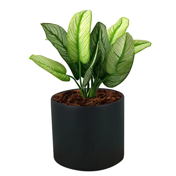 Sara_4_Inch_Black_Ceramic_Pots_For_Indoor_Plants,_Planters,_Flower,_Pots,_Gamla,Outdoor,Balcony,Home,Round,Garden,_Office_Decor,Succulent(H_-_10.5_X_D_-_12_Cm)