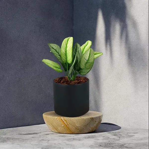 Sara_4_Inch_Black_Ceramic_Pots_For_Indoor_Plants,_Planters,_Flower,_Pots,_Gamla,Outdoor,Balcony,Home,Round,Garden,_Office_Decor,Succulent(H_-_10.5_X_D_-_12_Cm)